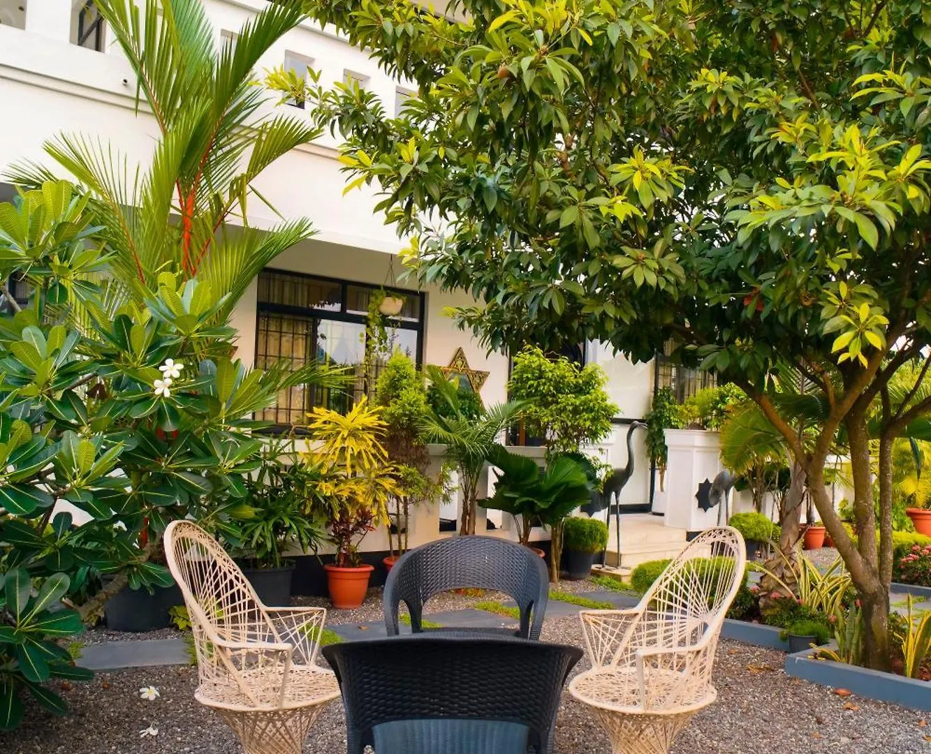 Villa The Island House Homestay Kochi