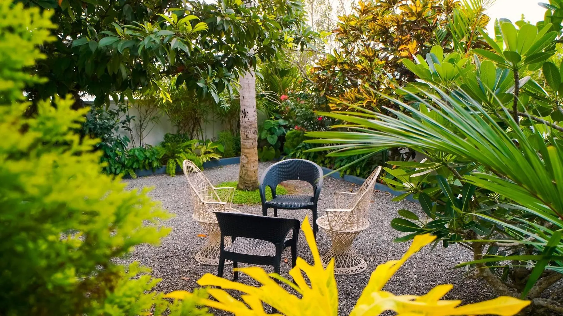 The Island House Homestay Kochi 0*,  India