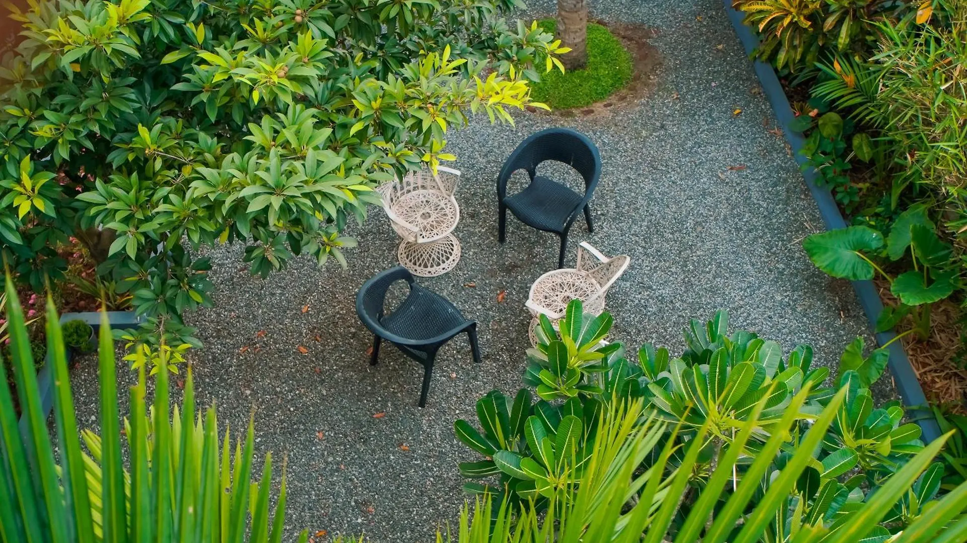 The Island House Homestay Kochi Villa