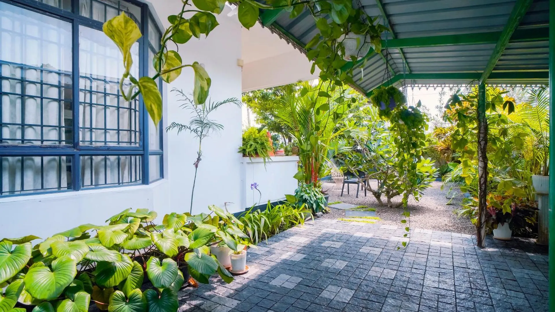 Villa The Island House Homestay Kochi India